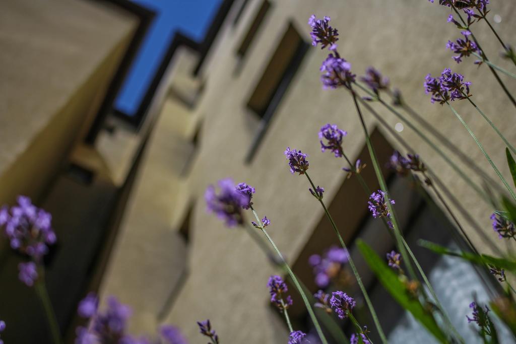 Hotel Five Seasons Fürth Екстериор снимка